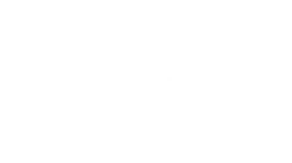 Berner Logo white
