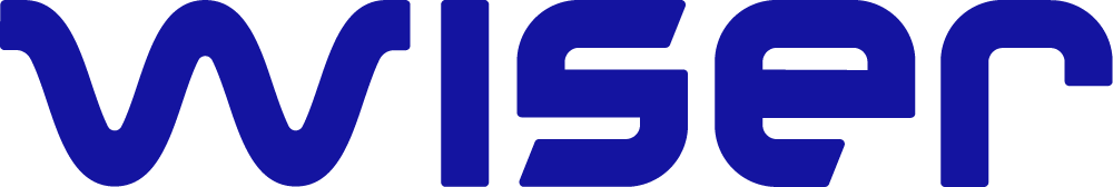 Wiser Technology Solutions Logo